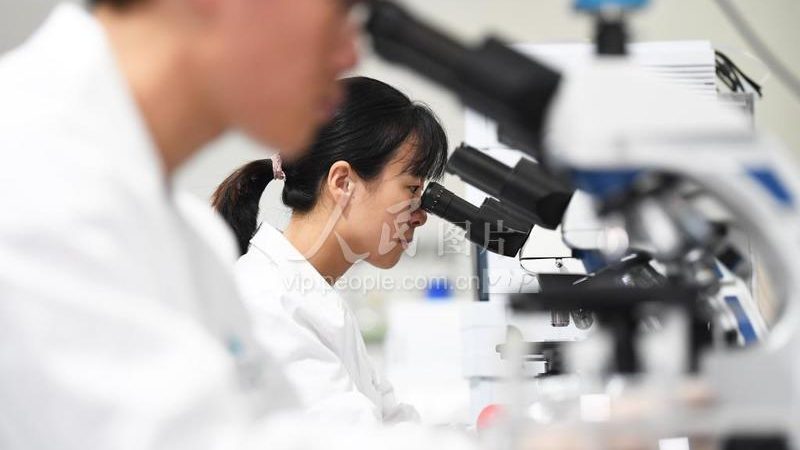 细胞培养基：揭秘种类分类与关键应用场景
