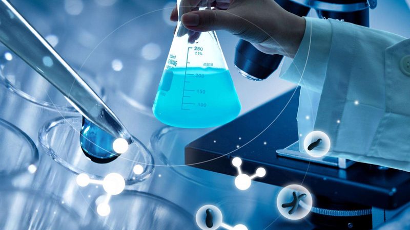 分子生物学试剂定制生产的成本考量：关键因素与优化策略