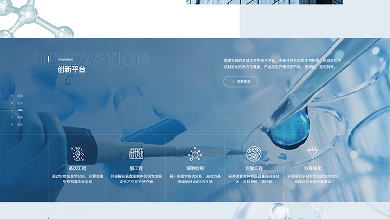 品牌与质量：性价比的平衡