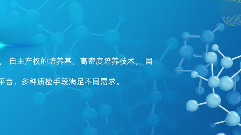 引物合成：揭秘高效基因检测的关键步骤**