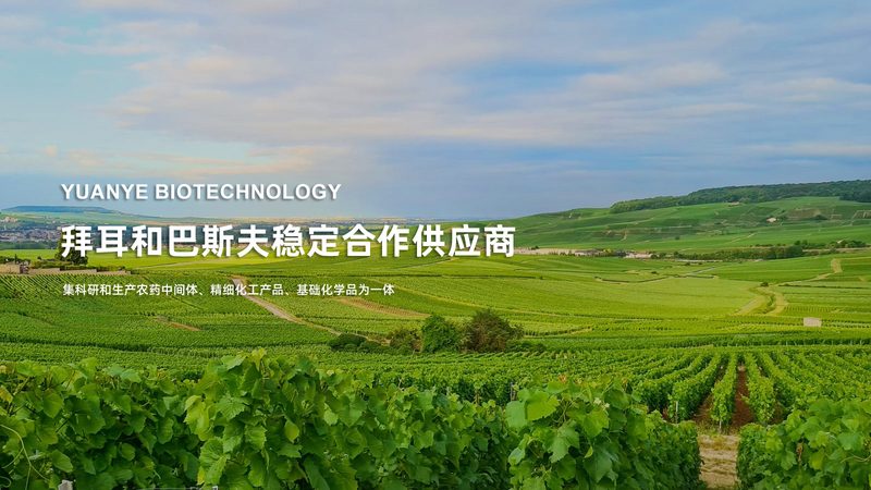 血液制品与疫苗：本质区别与关键特性