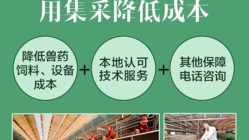 定制加工：揭秘上海实验室耗材的秘密