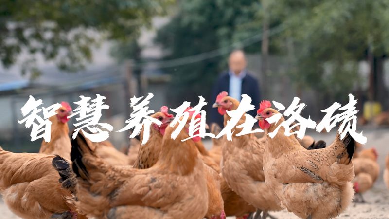 生物医药内包团队费用，如何合理预算？**